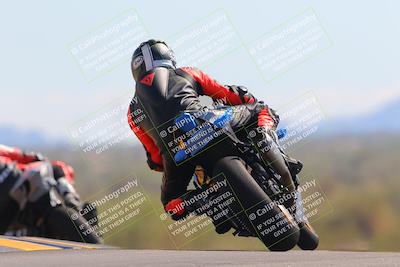 media/Oct-09-2022-SoCal Trackdays (Sun) [[95640aeeb6]]/Turn 9 Backside (120pm)/